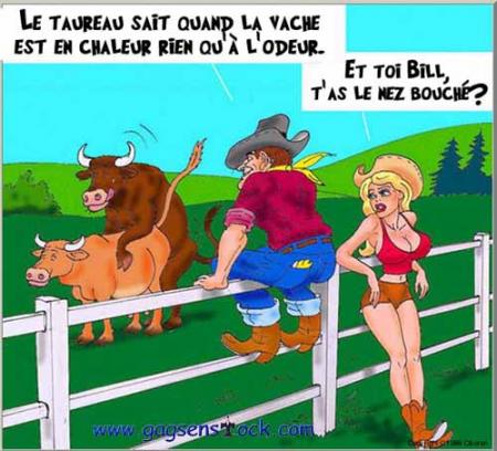 cowboy